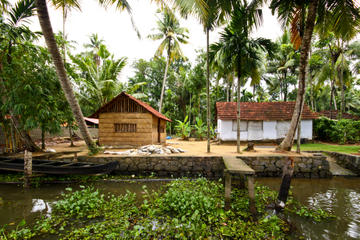 Small-Group Kerala Backwaters Tour from Kochi Including Ayurvedic Massage