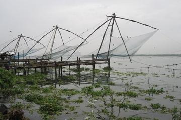 Small-Group Kochi Bike Tour