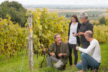 Small-Group Quebec Wine Tour from Montreal with Optional Gourmet Lunch and Cheese Tasting