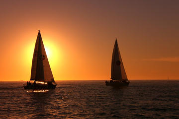 Small-Group San Diego Sailing Excursion