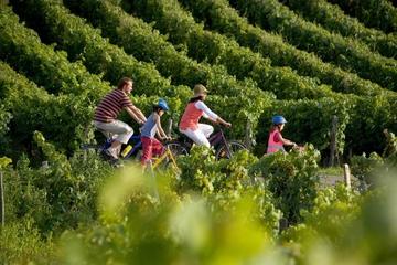 Small-Group St-Emilion Bike Tour from Bordeaux Including Wine Tastings and Lunch