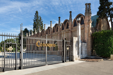 Small-Group Torres, Codorníu and Jean Leon Wineries Day Trip from Barcelona with Tastings and Brunch