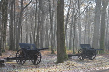 Small-Group WWI Day Trip from Paris: Aisne-Marne Battlefields, Belleau Wood and Museum of the Great War