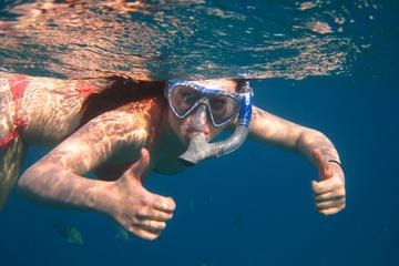 Snorkeling at Palmilla Bay from San Jose del Cabo