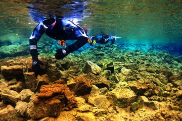 Snorkeling in Thingvellir National Park and Whale Watching Cruise from Reykjavik