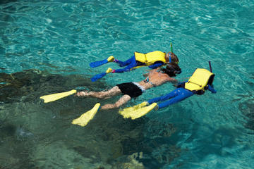Snorkeling Tour and Cozumel Beach Party
