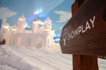 Snowland General Admission Ticket