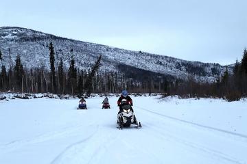 Snowmobile Adventure from Fairbanks