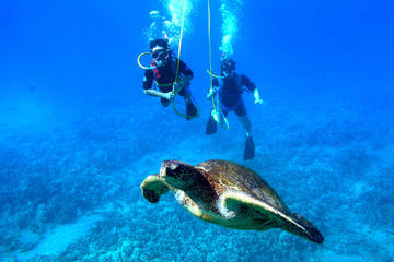 Snuba Adventure at Coral World Ocean Park