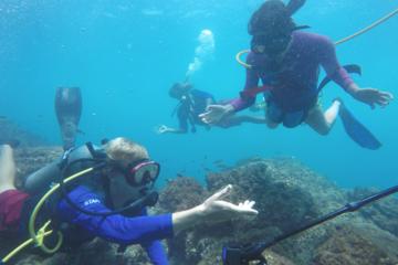 Snuba Tour in Guanacaste Snuba Tour in Guanacaste