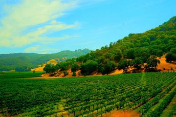 Sonoma and Napa Wine Country Day Trip from San Francisco
