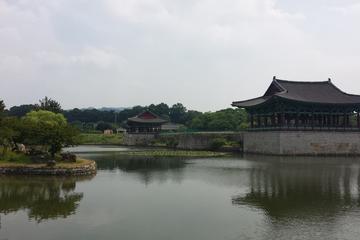 South Korea: 8-Night Comprehensive Tour from Seoul
