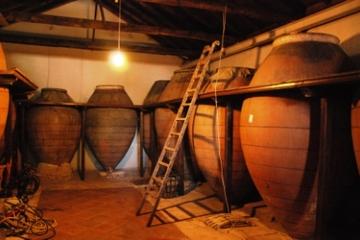 Spanish Wine Tour from Madrid