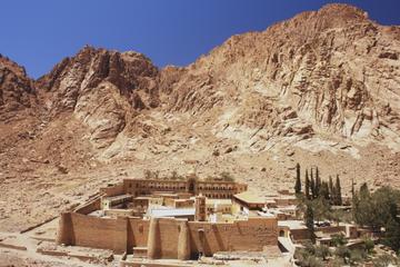St Catherine's Monastery and Mount Sinai Climb from Sharm el Sheikh including Lunch with a Local