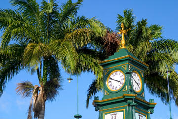 St Kitts Shore Excursion: Discover St Kitts Tour