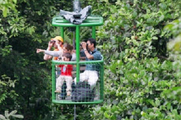 St Lucia Shore Excursion: Aerial Tram and Rainforest Tour St Lucia Shore Excursion: Aerial Tram and Rainforest Tour