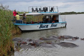 St Lucia Wetlands Day Trip from Durban Including Estuary Boat Ride