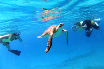 St Thomas Catamaran Sail: Buck Island National Wildlife Refuge