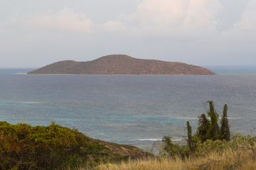 St Thomas Full-Day Sightseeing Tour to Buck Island, Honeymoon Beach and ABI Beach Bar