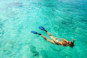 St Thomas Snorkeling Cruise to Buck Island