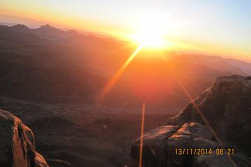 Star Gazing in Sharm Desert with Camel Ride and Night Show