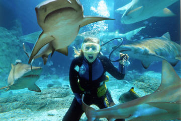 Sunshine Coast UnderWater World Entrance Ticket with Shark Dive Xtreme Sunshine Coast UnderWater World Entrance Ticket with Shark Dive Xtreme