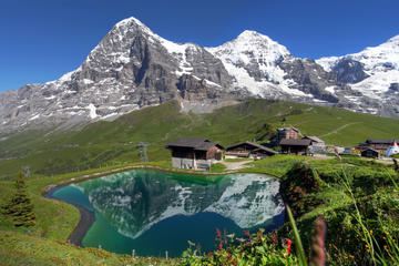 Swiss Alps Day Trip from Lucerne: Jungfraujoch and Bernese Oberland