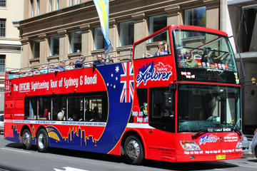 Sydney Shore Excursion: Sydney and Bondi Hop-On Hop-Off Tour
