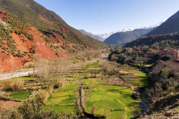 Three Valleys Day Trip from Marrakech with Optional Visit to Takerkoust Lake and Kik Plateau