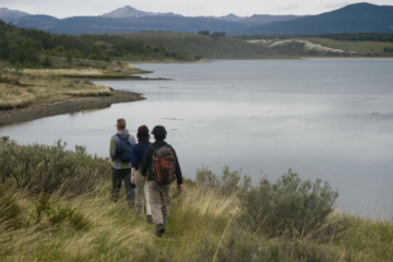Tierra del Fuego Eco-Adventure: Beagle Channel Canoeing, Penguin Colony and Gable Island