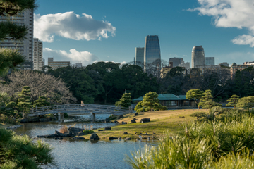 Tokyo Photography Tour: Historic Edo to Modern-Day Tokyo