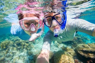 Trindade Fishing Village, Beach Trek and Snorkeling Tour from Paraty