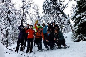 Tromso Winter Adventure: Northern Lights Viewing, Snowshoeing, Tobogganing and Cross-Country Skiing