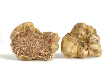 Truffle Hunting, Truffle Factory Visit and 1 Michelin Star Dining Experience