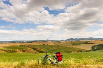 Tuscan Country Bike Tour from Florence Including Wine and Olive Oil Tastings