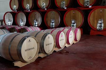 Tuscany All Day Wine Tour: Siena and San Gimignano