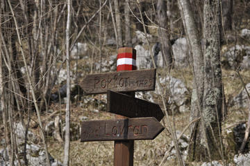 Ucka Mountain Hiking Tour