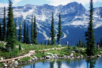 Vancouver Shore Excursion: Whistler Day Trip from Vancouver