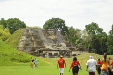 Viator Exclusive: Belize City and Altun Ha Mayan Site Tour Viator Exclusive: Belize City and Altun Ha Mayan Site Tour