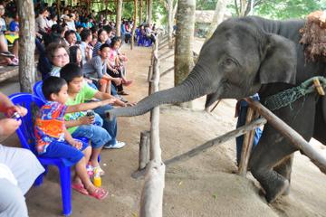Viator Exclusive: Elephant Conservation Experience in Chiang Mai