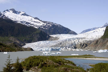 Viator Exclusive: Mendenhall Glacier, Whale-Watching Cruise and Juneau City Tour