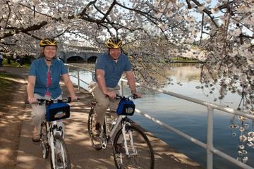 Viator Exclusive: Mt Vernon Trail and Washington DC Cherry Blossom Bike Tour from Alexandria