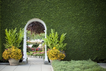 Viator VIP: Behind-the-Scenes Tour of Butchart Gardens with Victoria Sightseeing from Vancouver