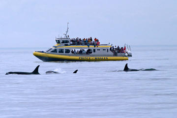 Victoria Shore Excursion: Whale-Watching Cruise and Butchart Gardens Admission