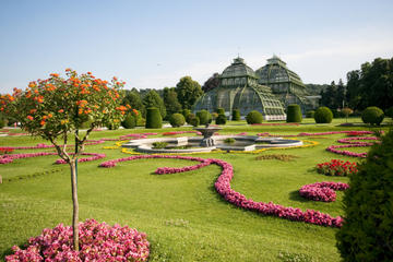 Vienna Combo: Danube River Cruise, Dinner and Schonbrunn Palace Concert