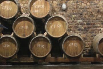 Villány Wine Country Day Trip from Budapest Including Lunch
