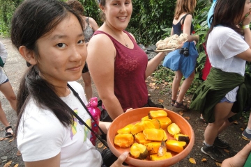 Volunteer Program and Tour at Wildlife Rescue Center in Costa Rica