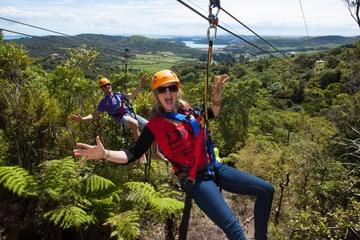 Waiheke Island Exploration and Zipline Day Trip from Auckland
