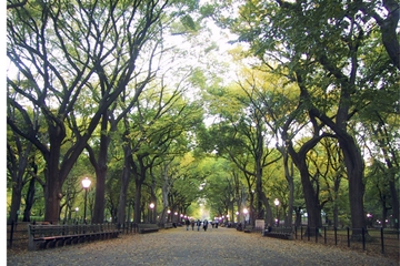 Walking Tour of Central Park