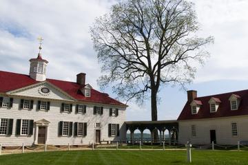 Washington DC Supersaver: Mount Vernon and Arlington National Cemetery Tour
